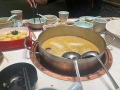 -洪氏嗨捞·猪肚鸡火锅(阳光天地店)