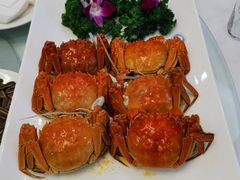 -小贝壳酒楼(经九路店)