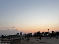 -九龙湖公园