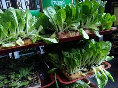 -蔼若春.传承三十年云南菜(金碧公园店)