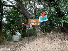 -狮子山郊野公园