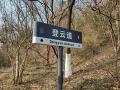 -幕燕滨江·长江观音景区