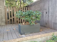 -萬國春·中菜馆(颐和公馆店)