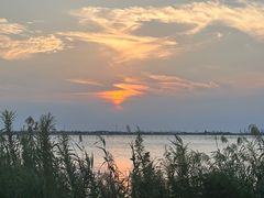 -阳澄湖半岛旅游度假区