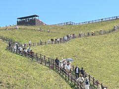 -新疆那拉提国家旅游度假区