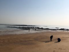 -日照灯塔风景区