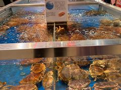 -盒马X会员店(王府井奥莱UP TOWN店)