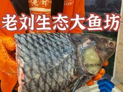 -老刘生态大鱼坊铁锅炖鱼(赛马场店)