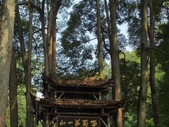 -青城山