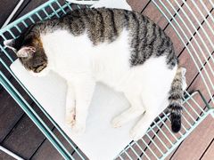 -UNI UNI(环亚凯瑟琳店)