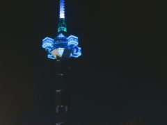 -聚龙湖公园