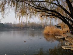 -蝎梁府(青年沟店)