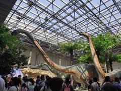 -国家自然博物馆