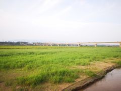 -白氏鲶鱼汤(白亮1号店)