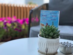 -三亚海棠湾仁恒皇冠假日酒店·大堂吧