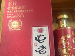 -屯老二农家铁锅炖·行业领军者(梅江店)
