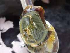-何老二卤汁凉粉