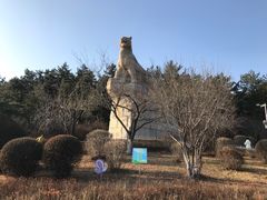 -帽儿山国家森林公园