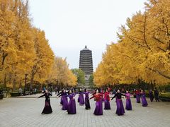 -玲珑塔公园