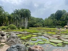 -中国科学院西双版纳热带植物园