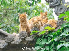 -非凡烧烤(历史博物馆店)