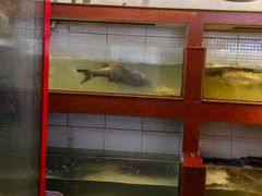 -百岁鱼庄·常州老字号(湖塘店)