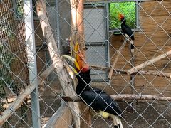 -清迈夜间动物园