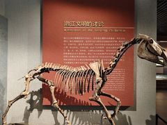 -齐齐哈尔市博物馆