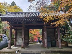 -醍醐寺