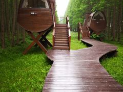 -黄海国家森林公园