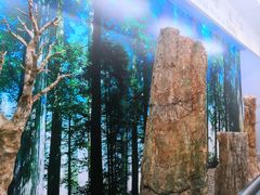 -延庆地质公园博物馆