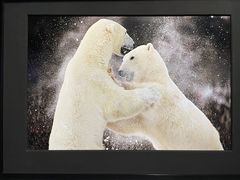 -罗红摄影艺术馆