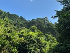 -广州白江湖森林公园