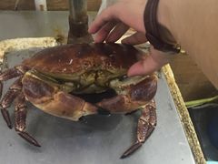 -海岛渔村大酒店(云霄路店)