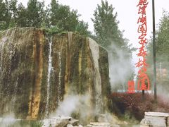 -合肥滨湖国家森林公园