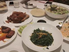 -洋洋中餐馆·SINCE 1997(信投店)