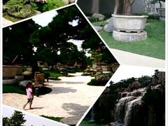 android_upload_pic-中国唐苑