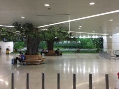 -杭州萧山国际机场