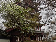 -采石矶景区