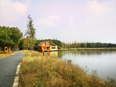 -广富林郊野公园