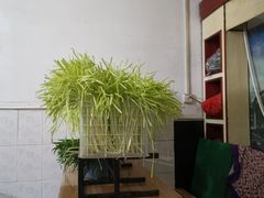 -尤素福东举院饺子馆