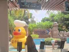 -新加坡水上探险乐园