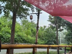 -西部长青自然儿童乐园