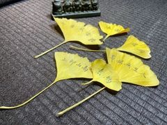 -自如ZSPACE四合院艺术餐厅