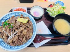 -桃花丼烧肉饭(凯丹商场店)
