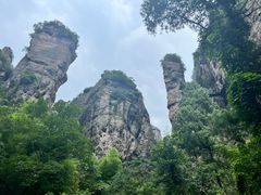 -雁荡山风景名胜区