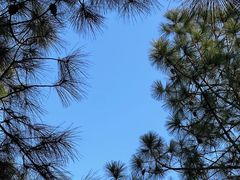 -艾溪湖湿地公园