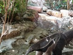 -长鹿旅游休博园