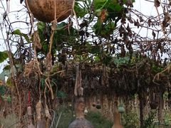 -汉长安城未央宫国家考古遗址公园