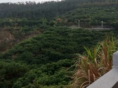 -仙岳公园